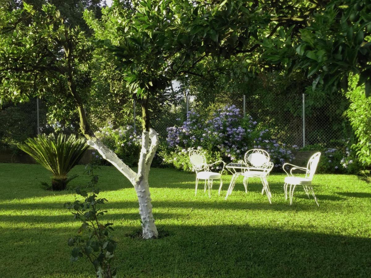 Casa Malu Boutique Apartments - No 1 Гувия Екстериор снимка